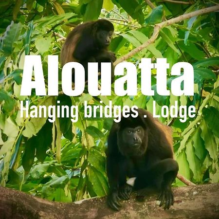 Alouatta Lodge And Canopy Cahuita Exterior foto