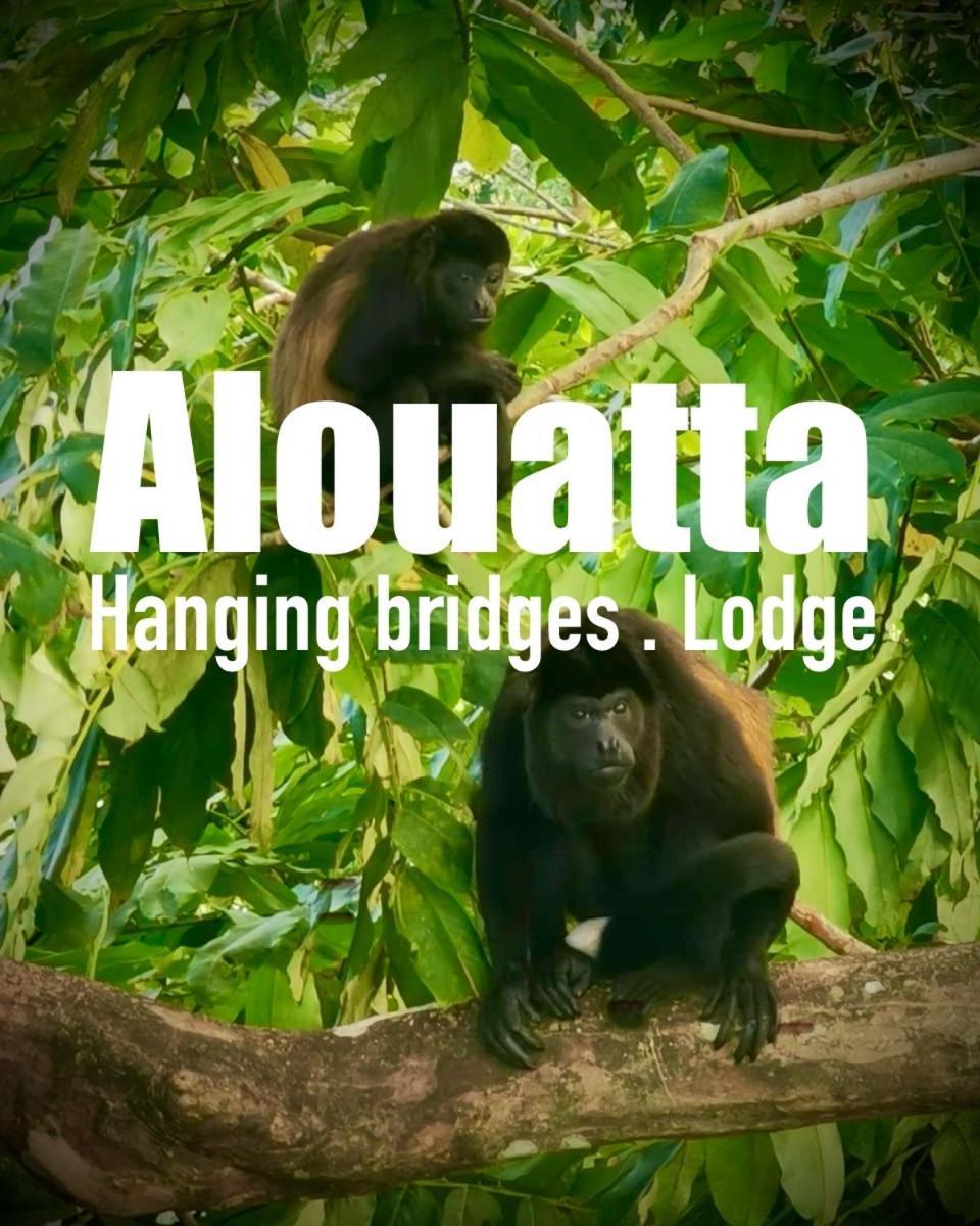 Alouatta Lodge And Canopy Cahuita Exterior foto