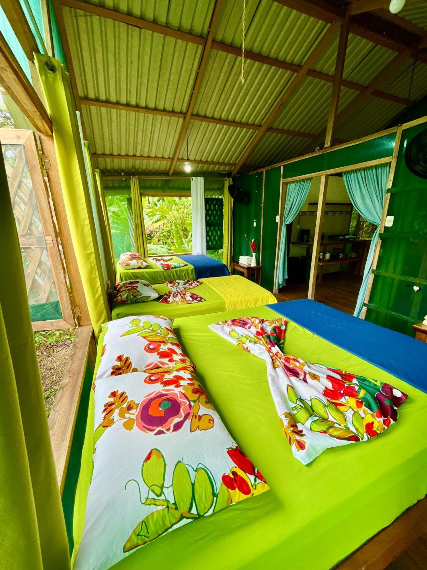 Alouatta Lodge And Canopy Cahuita Exterior foto