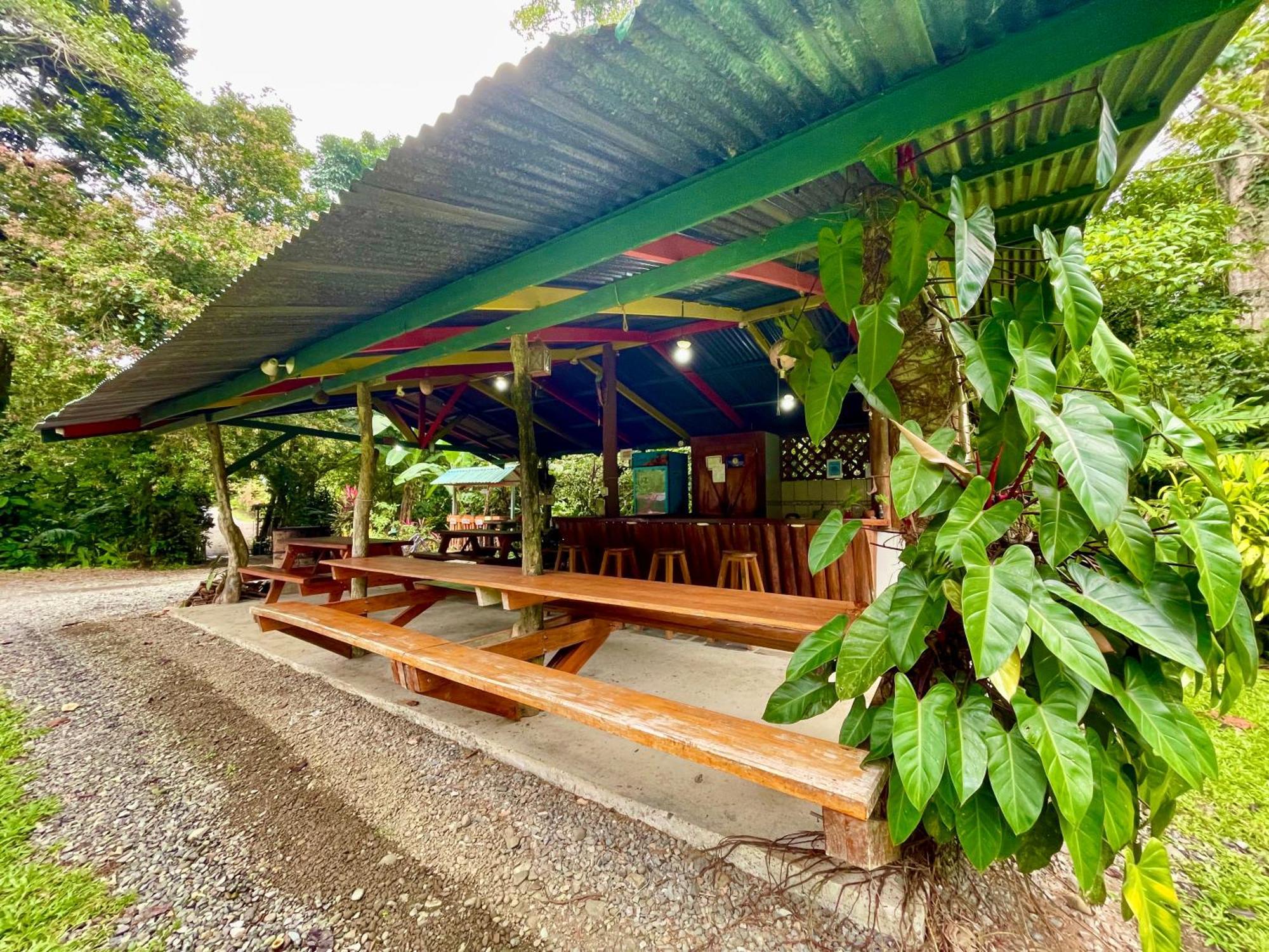 Alouatta Lodge And Canopy Cahuita Exterior foto