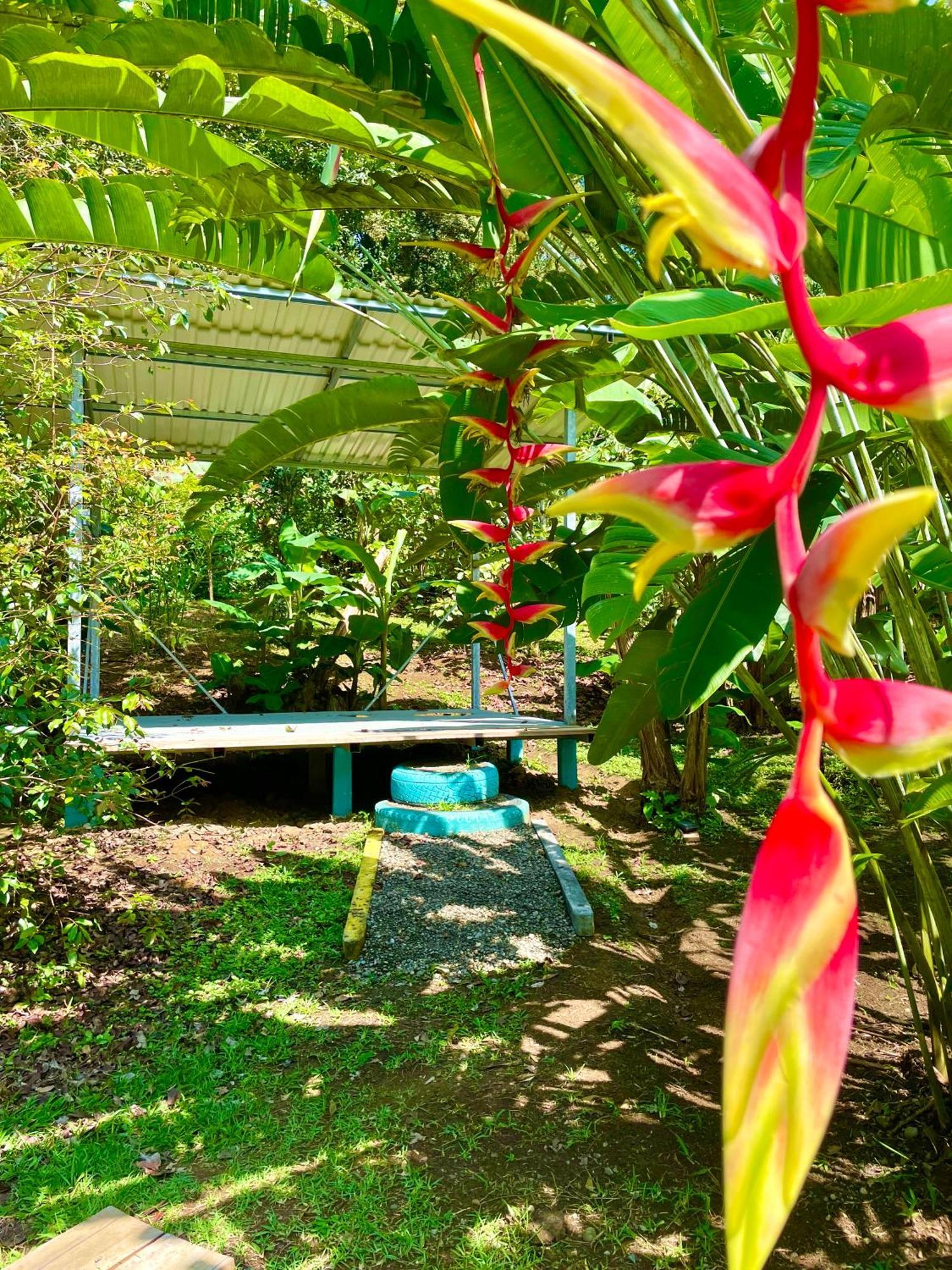Alouatta Lodge And Canopy Cahuita Exterior foto