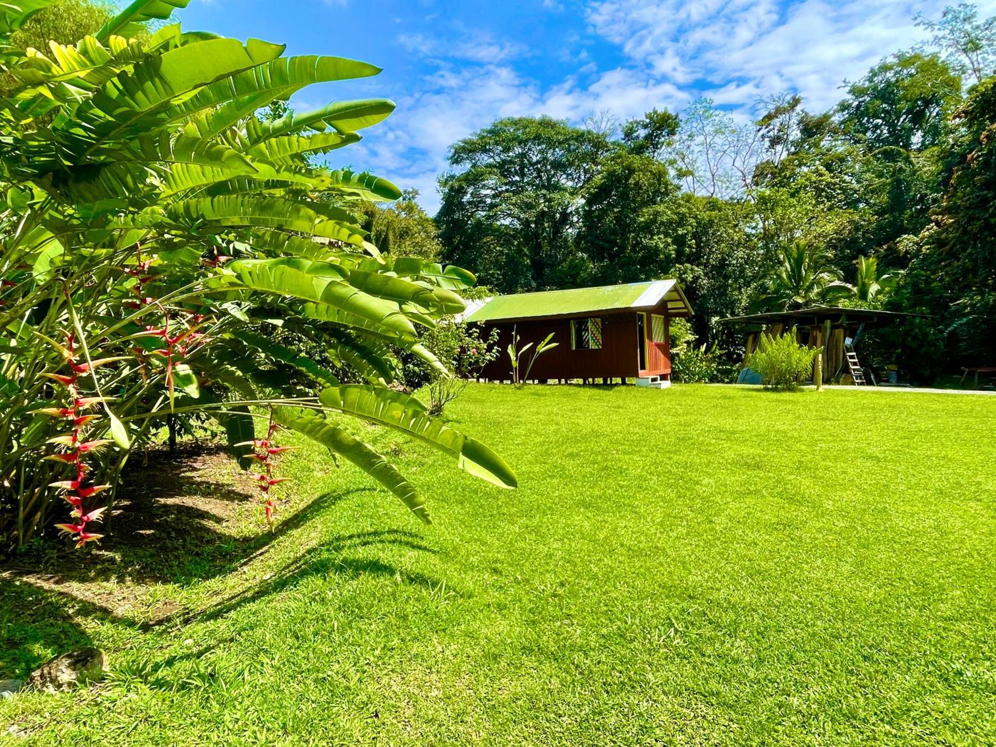 Alouatta Lodge And Canopy Cahuita Exterior foto