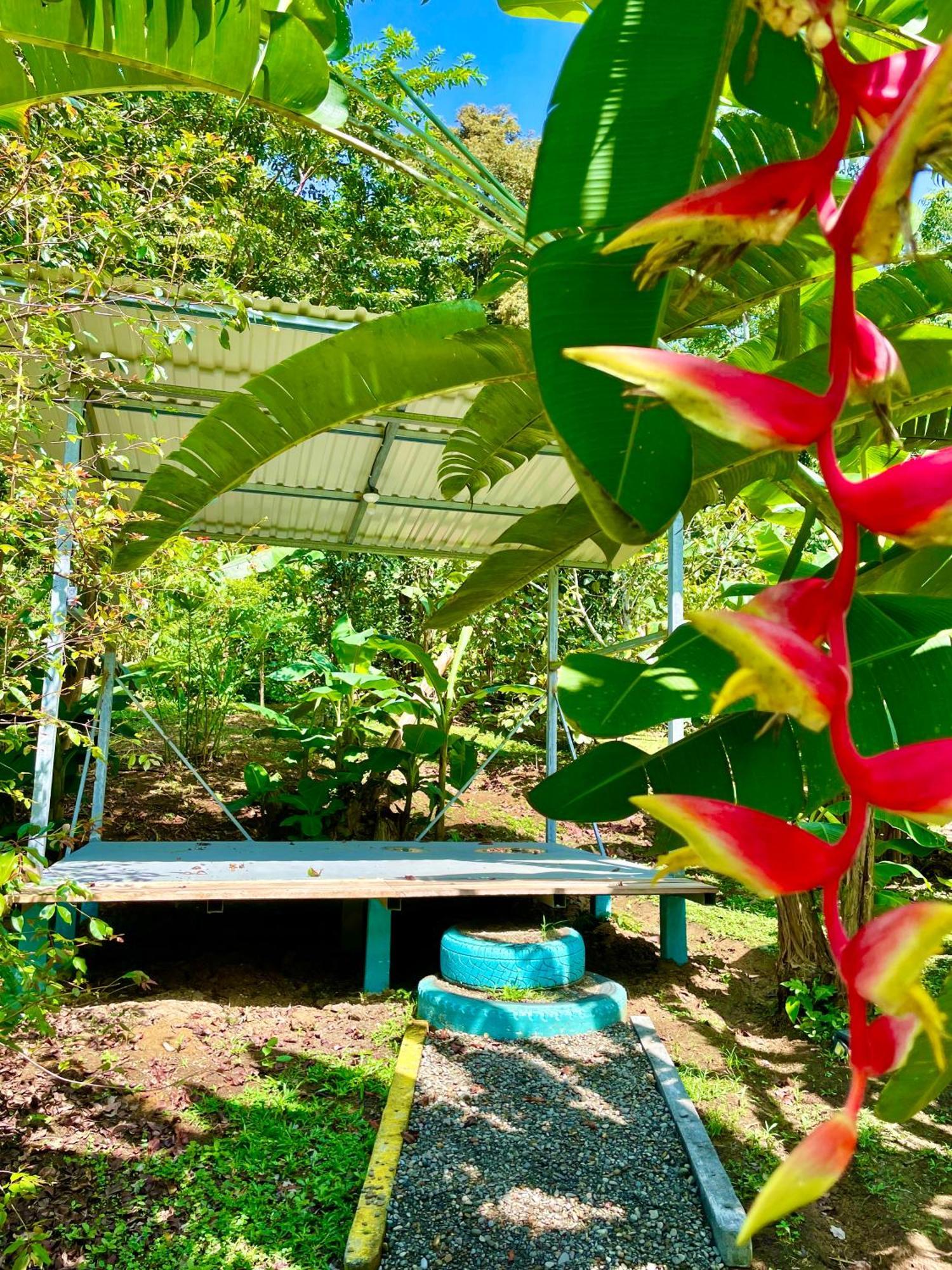 Alouatta Lodge And Canopy Cahuita Exterior foto