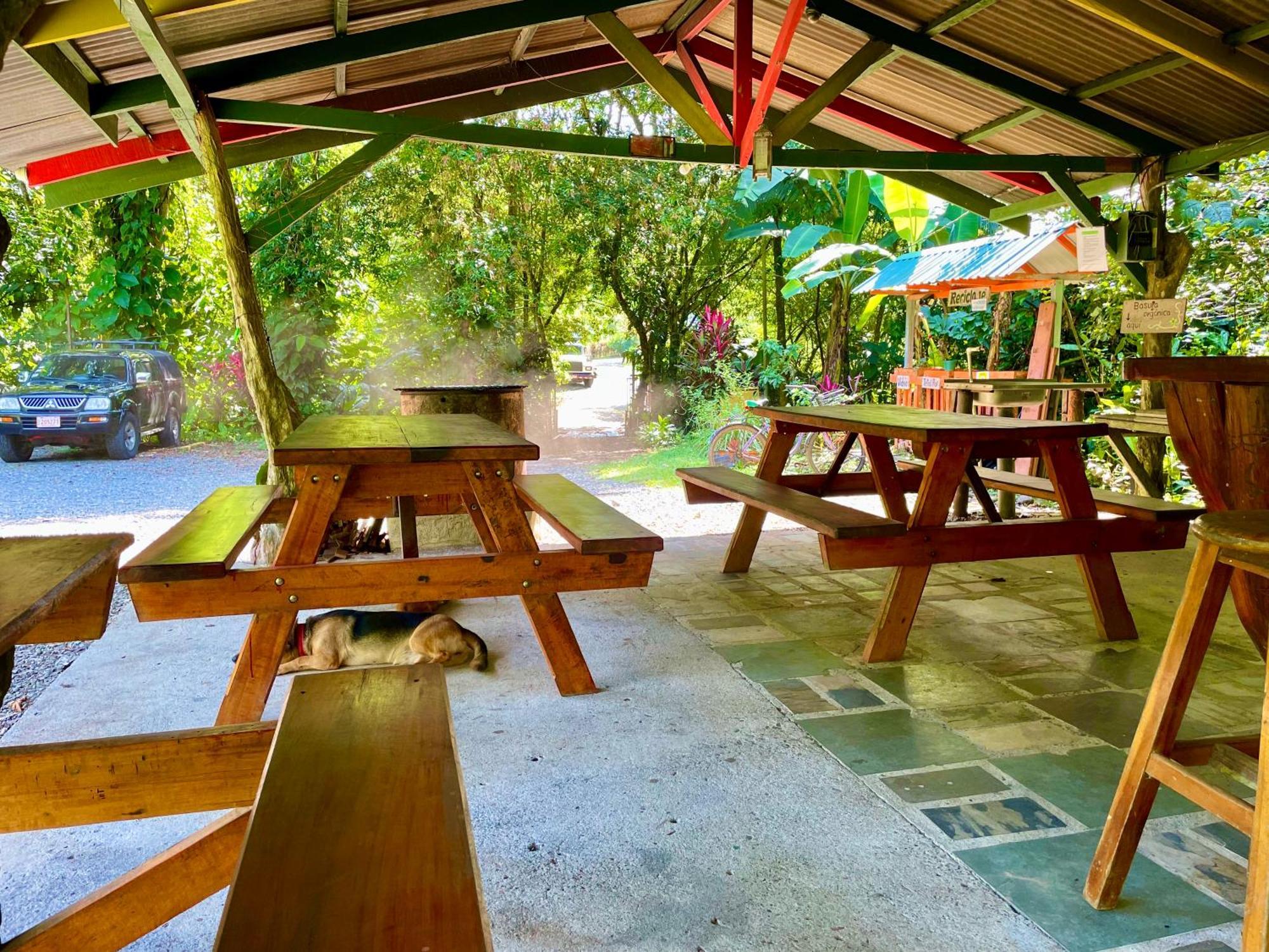 Alouatta Lodge And Canopy Cahuita Exterior foto