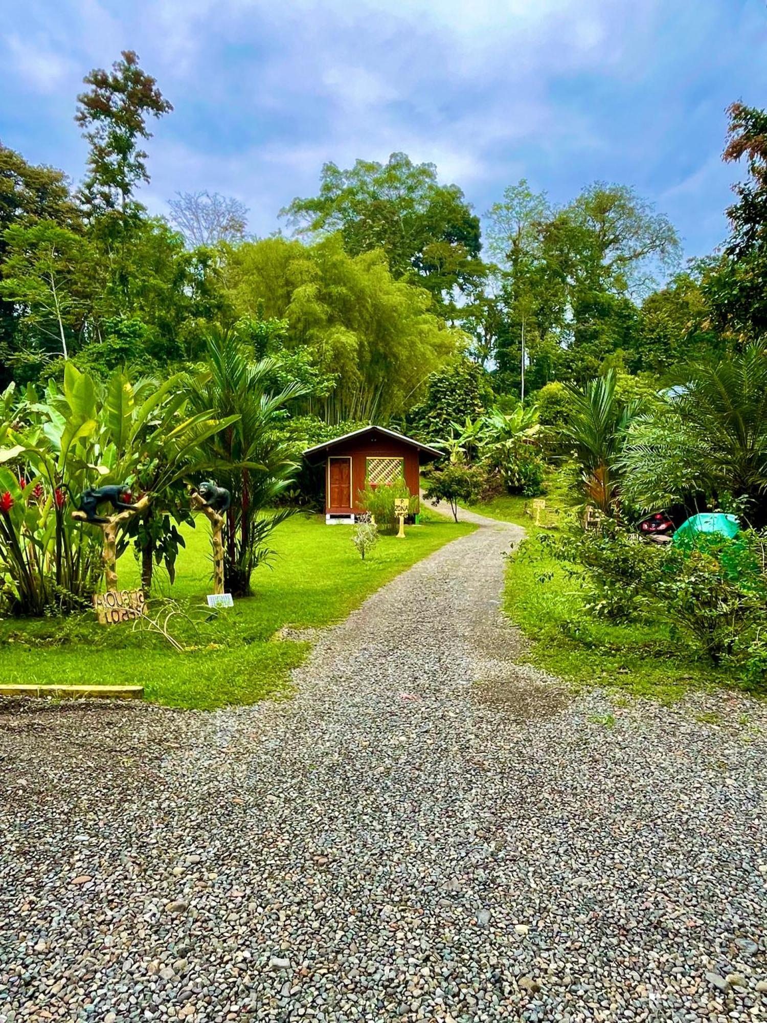 Alouatta Lodge And Canopy Cahuita Exterior foto