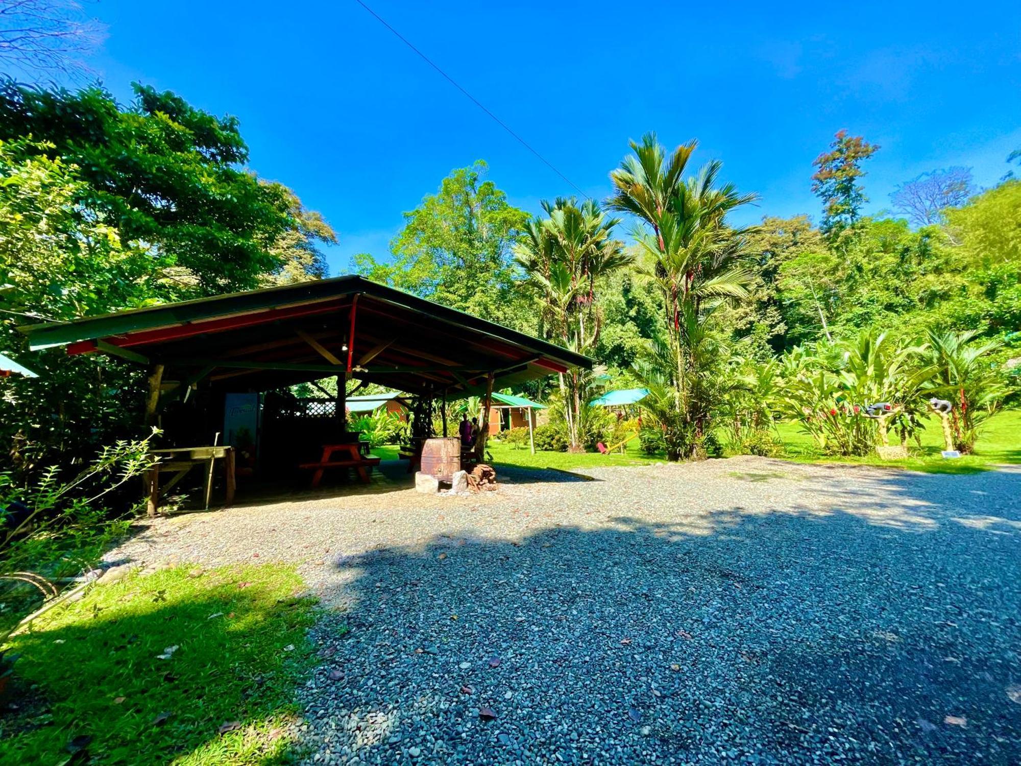 Alouatta Lodge And Canopy Cahuita Exterior foto