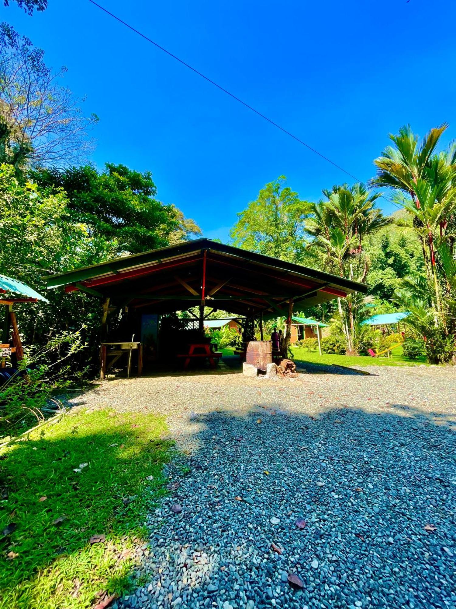 Alouatta Lodge And Canopy Cahuita Exterior foto