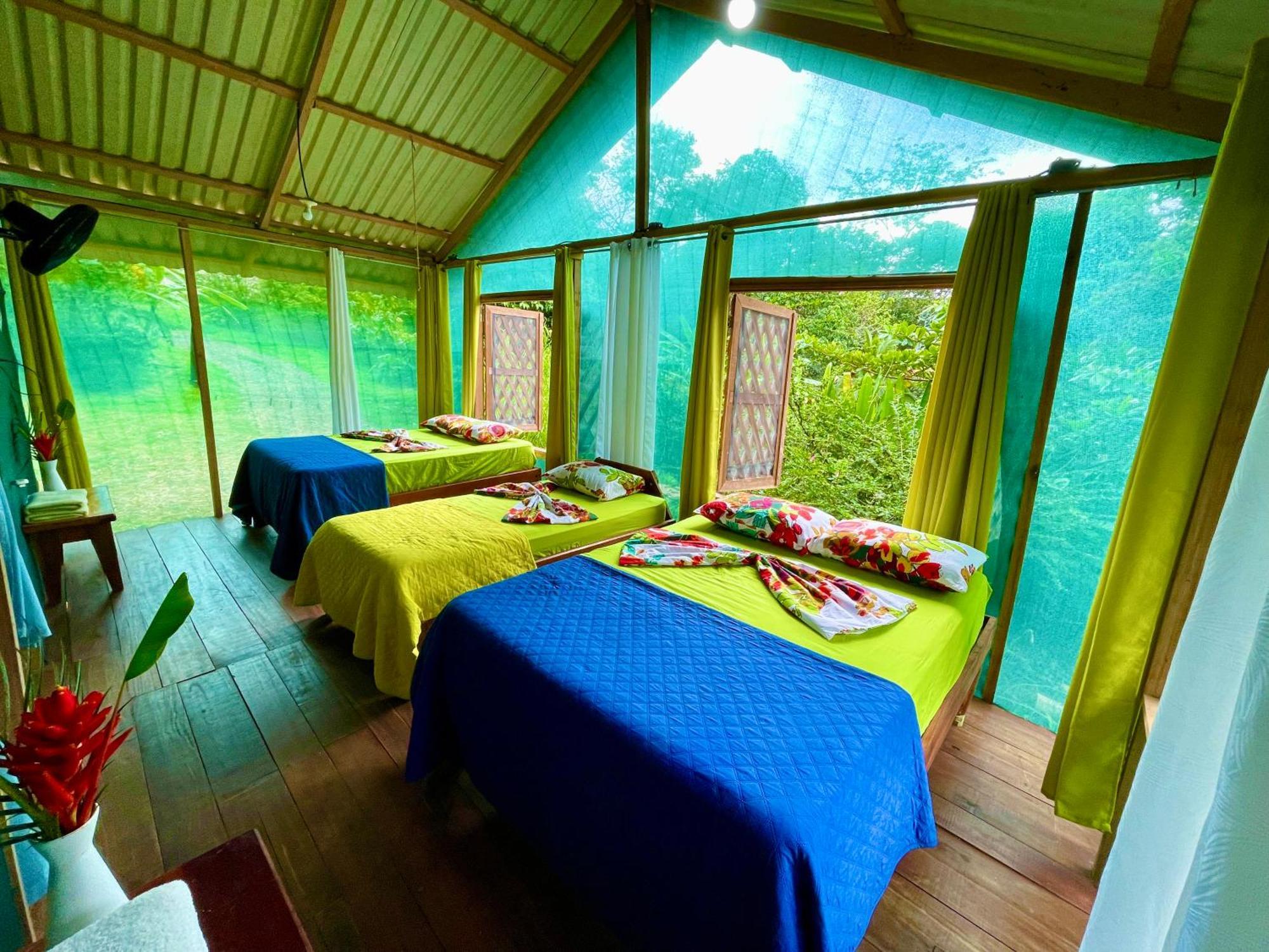 Alouatta Lodge And Canopy Cahuita Exterior foto