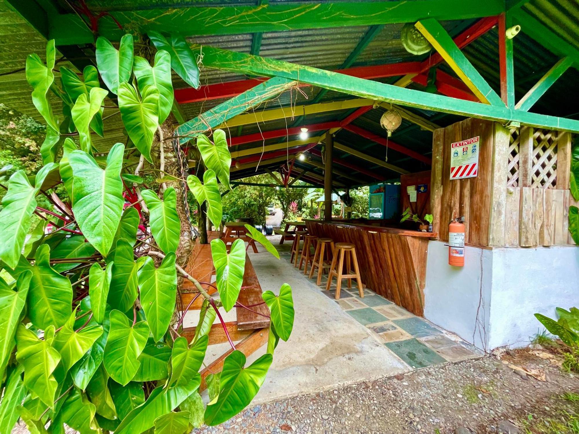 Alouatta Lodge And Canopy Cahuita Exterior foto