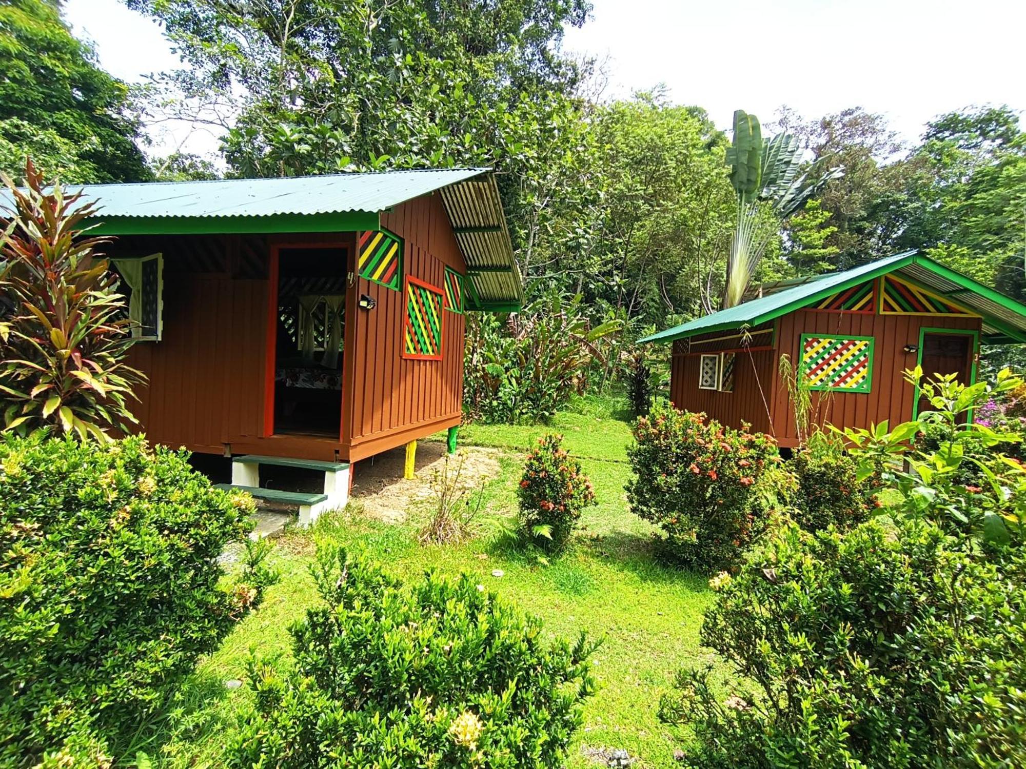 Alouatta Lodge And Canopy Cahuita Exterior foto