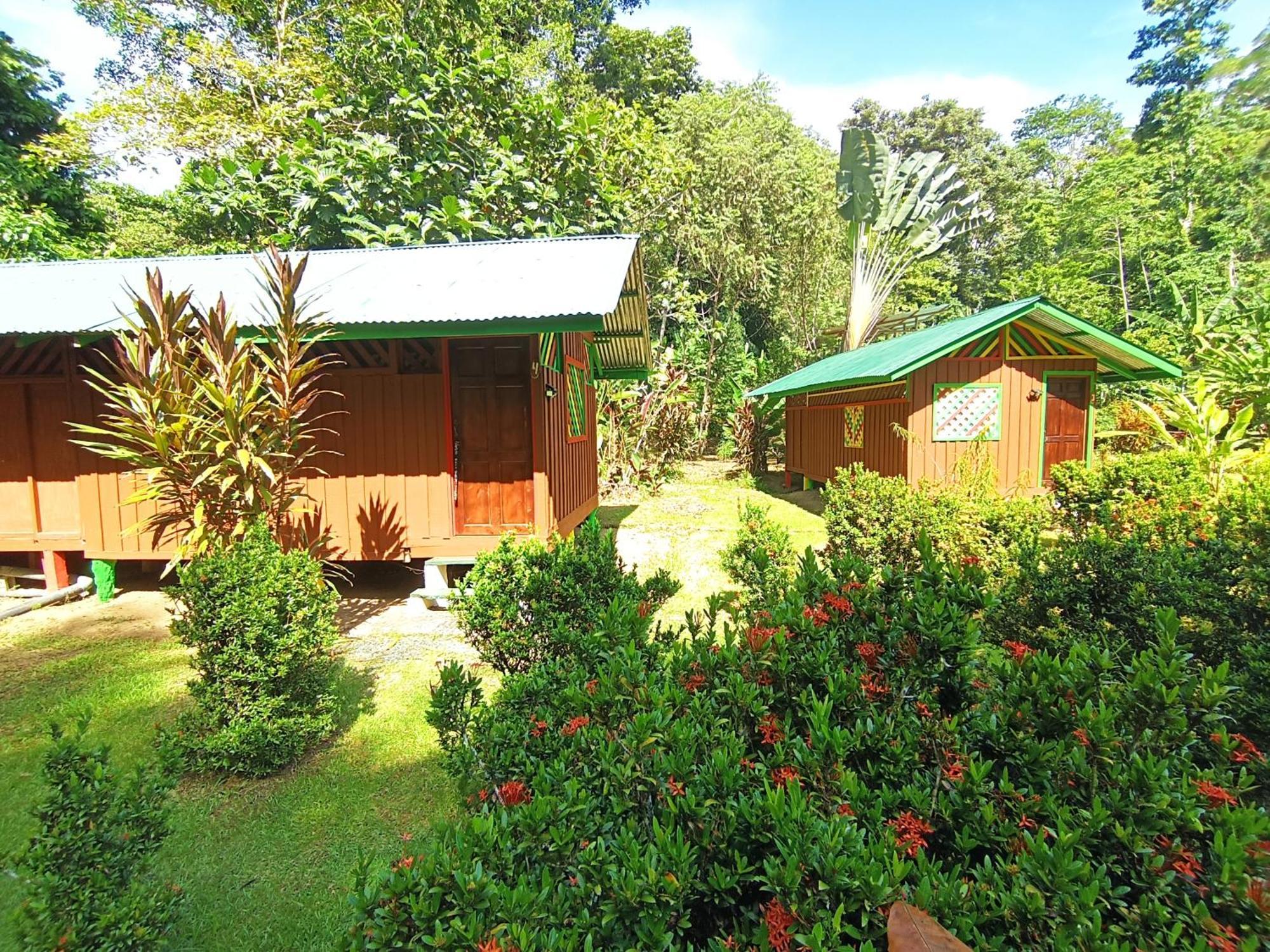 Alouatta Lodge And Canopy Cahuita Exterior foto