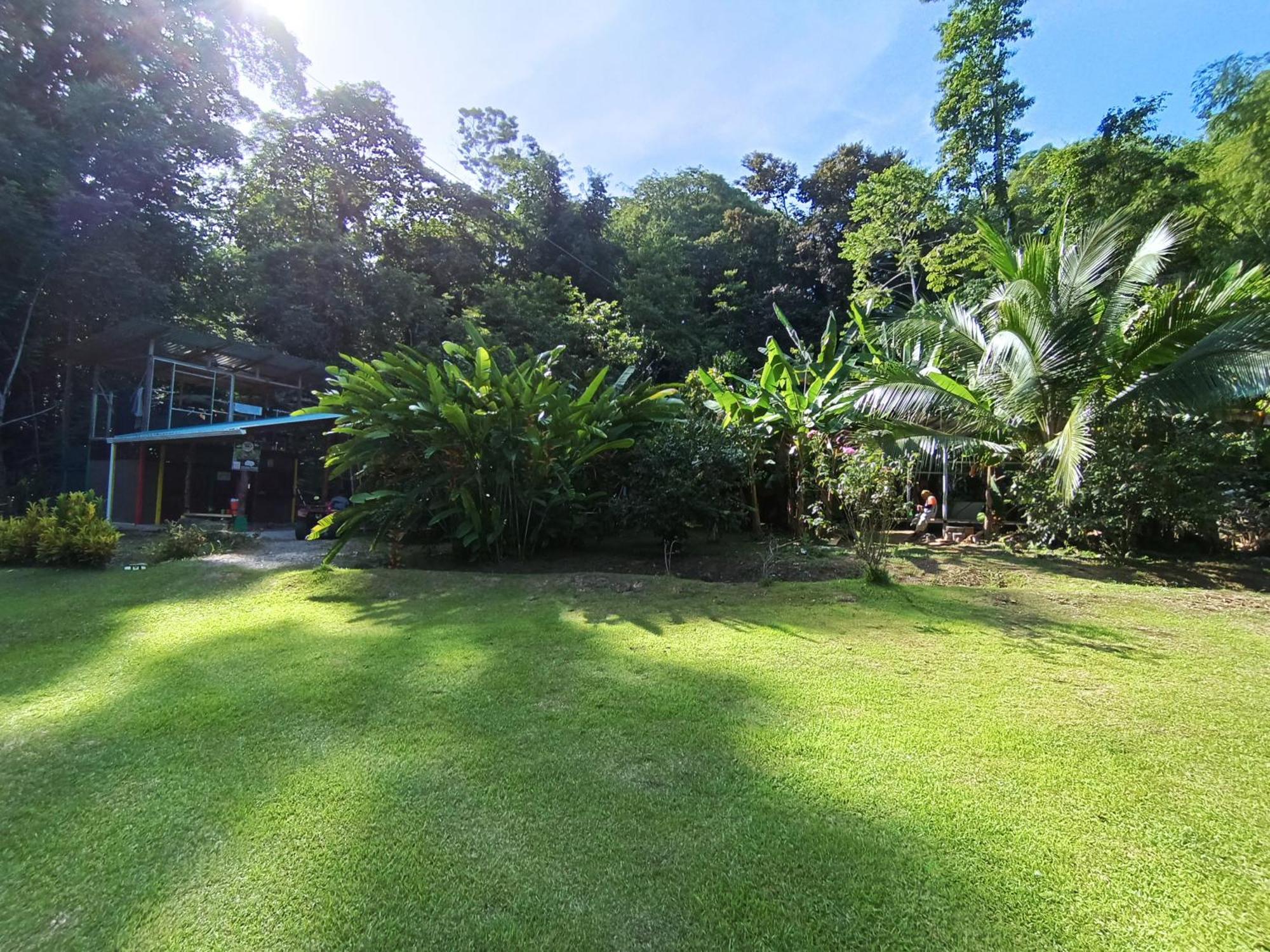 Alouatta Lodge And Canopy Cahuita Exterior foto